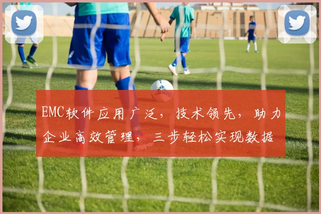 EMC软件应用广泛，技术领先，助力企业高效管理，三步轻松实现数据安全备份，优化企业信息处理。
