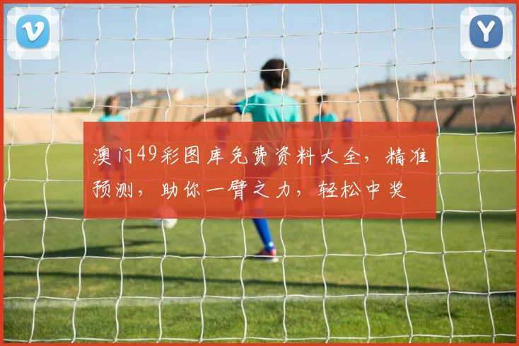 澳门49彩图库免费资料大全，精准预测，助你一臂之力，轻松中奖