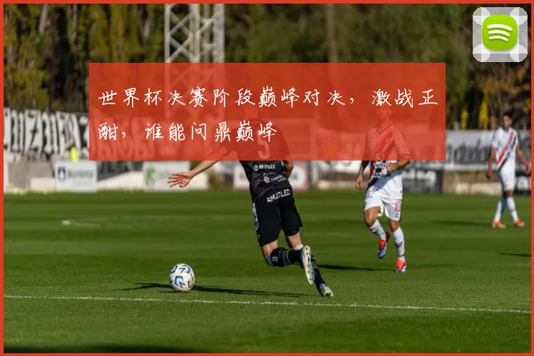 世界杯决赛阶段巅峰对决，激战正酣，谁能问鼎巅峰